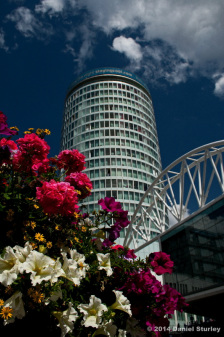 PHOTOS OF BIRMINGHAM IN BLOOM